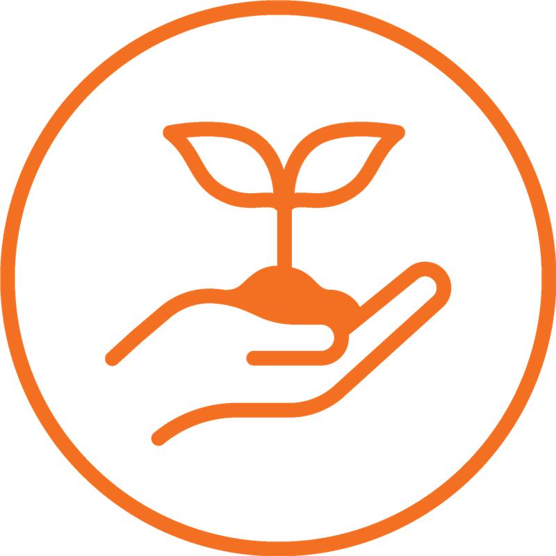 seedling icon